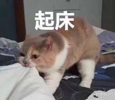 有什么适用于和老公/男票撒娇的可爱表情包?