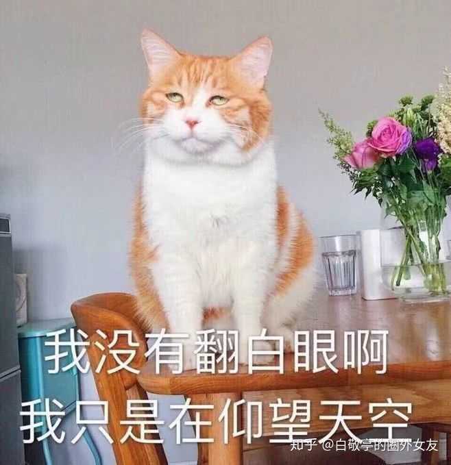 如何评价电视剧《红樱剑》中的角色尹秀茹?