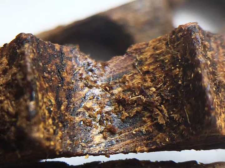 关于奇楠鉴定奇楠沉香怎么分辨