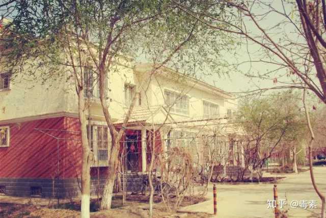塔里木大学,有两个宿舍区,分别为东区,西区.