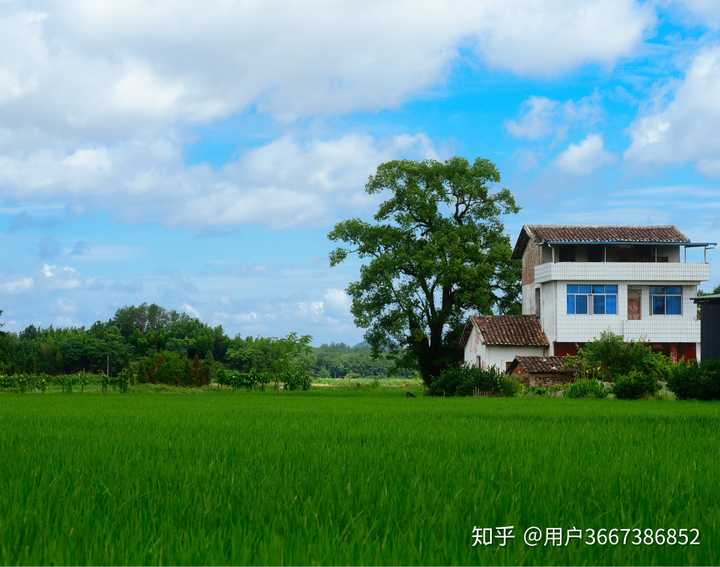 你手机里还有哪些乡村的自然风景照片