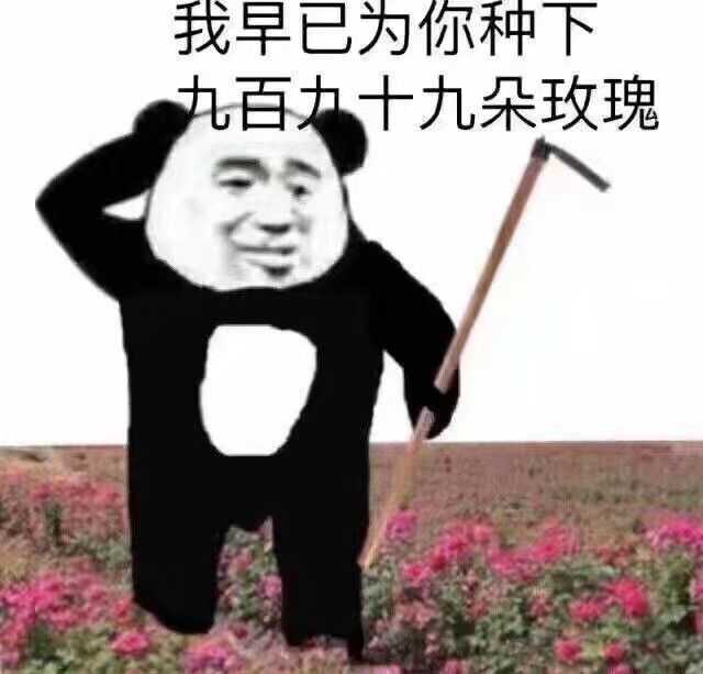 今夜不让你入sei