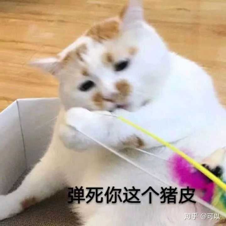 我浴室里就会有很多熊猫头(惊恐) 还会有各种动物 这样: 再这样