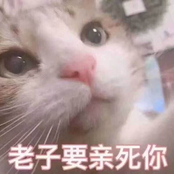 有那些撩男朋友的斗图?