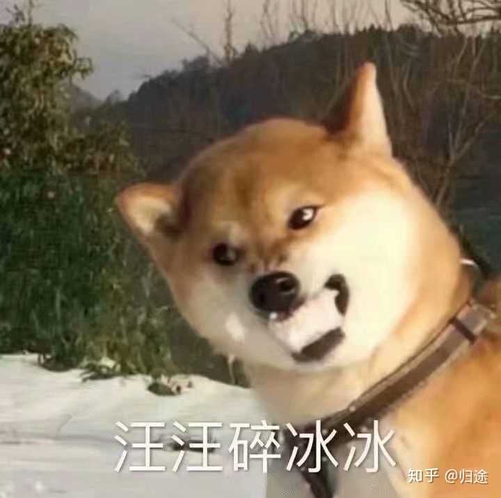 有哪些悲伤又好笑的故事?