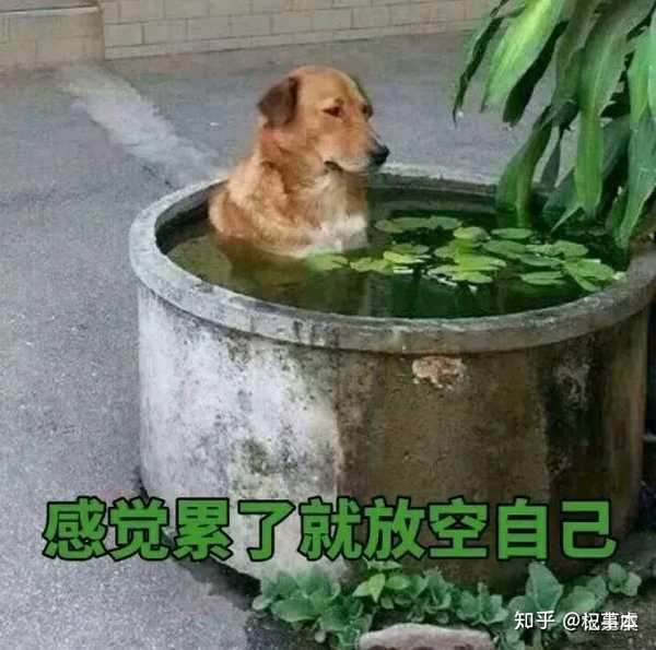 我觉得生活好苦啊,怎么办?