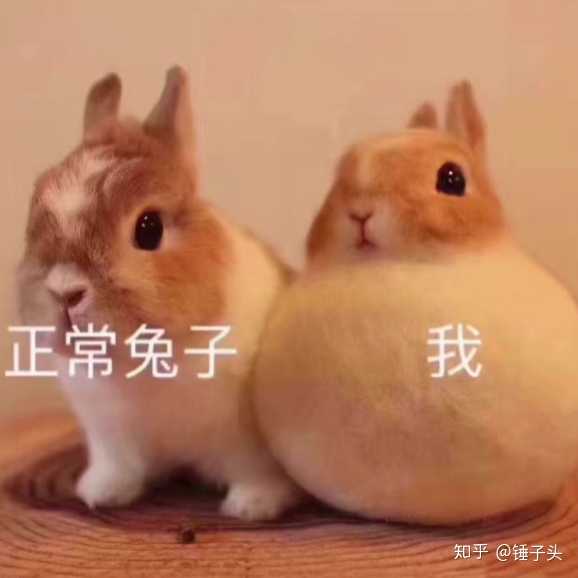 屏幕常亮,心宽体胖.