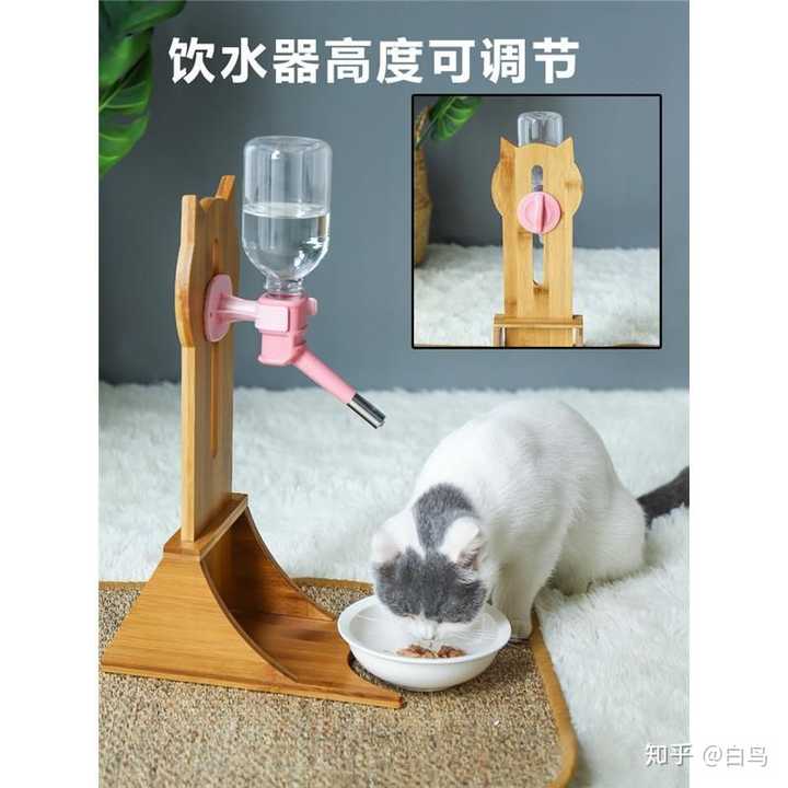 有哪些值得推荐的不需要通电的猫猫自动喂水器?