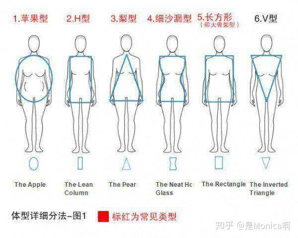 女性体型大致分为以下几种