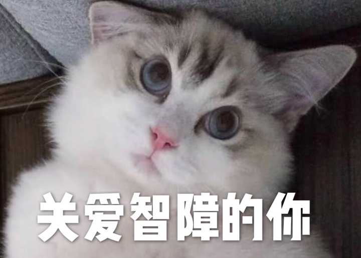 10)关爱智障的你