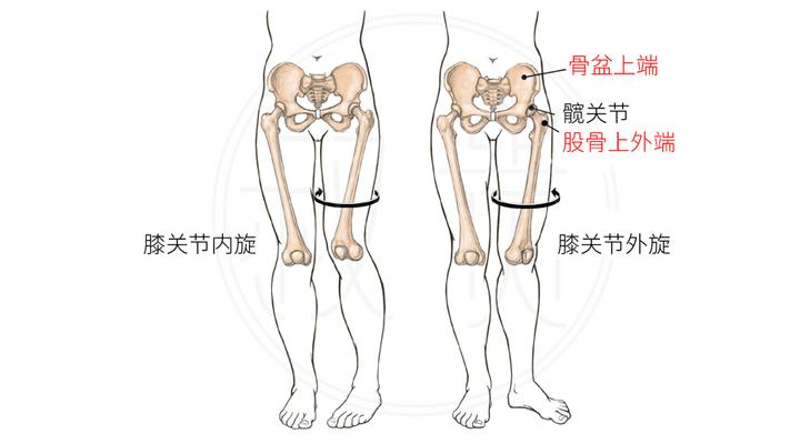 他们的区别就是 一个胯的位置是在腰那里,一个胯的位置在大腿那里