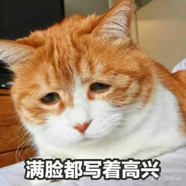 有哪些堪称有毒的表情包?