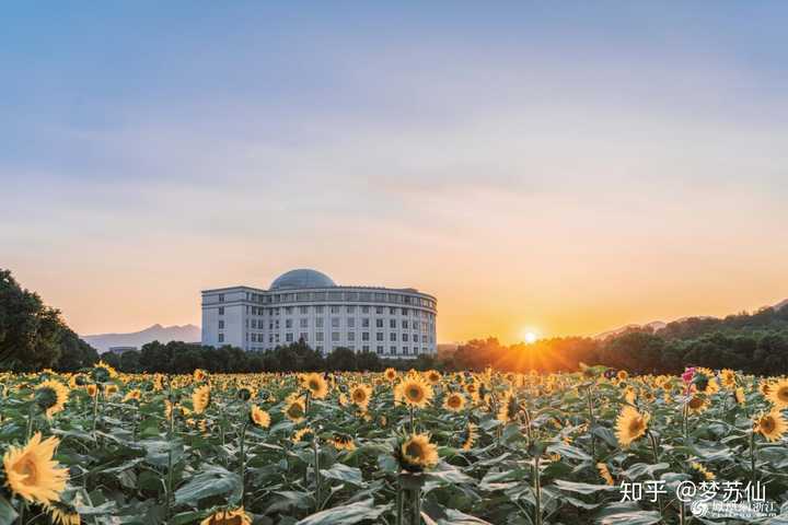 在浙江工业大学就读是什么体验?