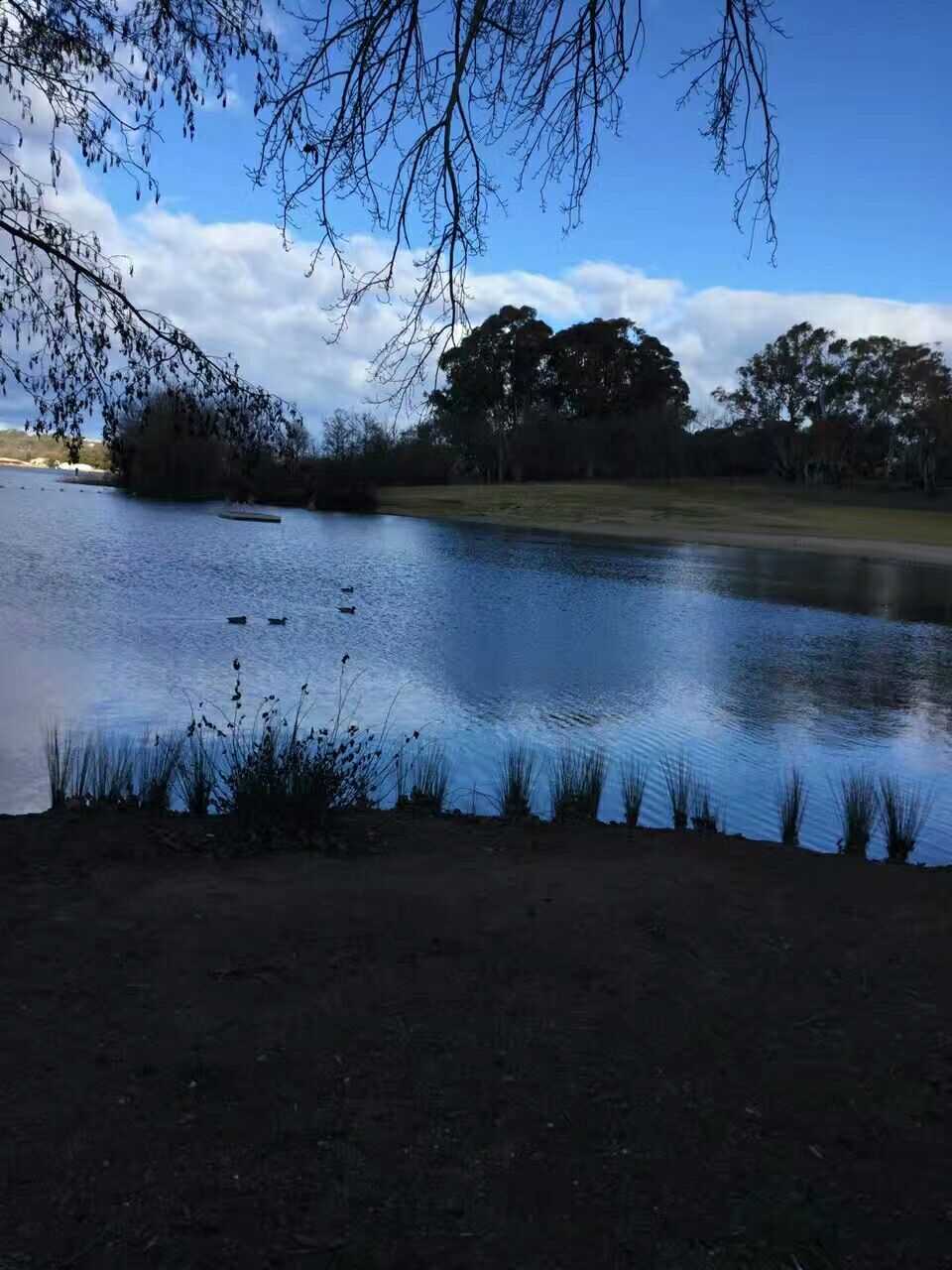 澳洲堪培拉风景
