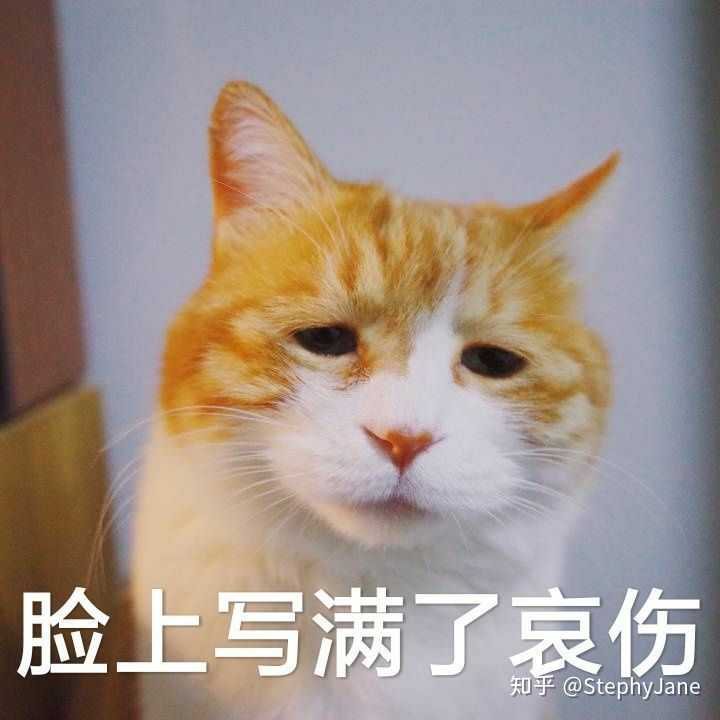 有没有丧系的图片适合做头像?