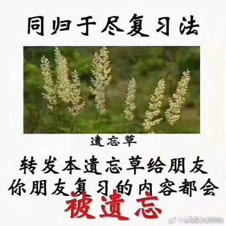 我可能中了遗忘草的毒.今天看的代码一个没记住下午的c#求带飞