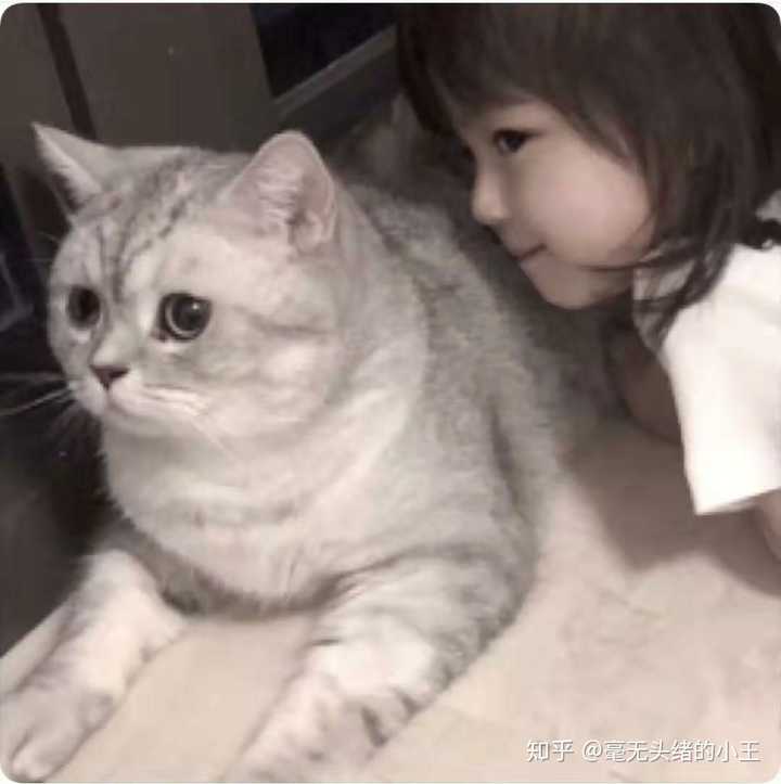 有那种憨憨的情侣头像吗?