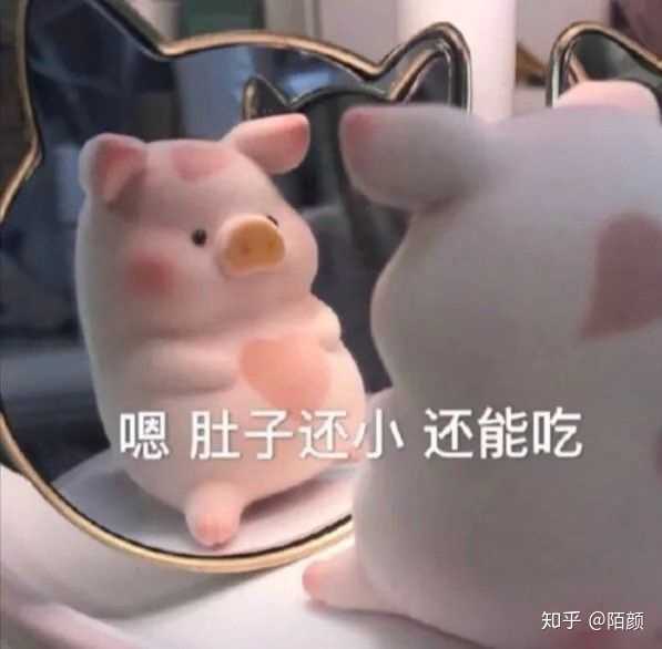 有哪些套路对象的表情包?