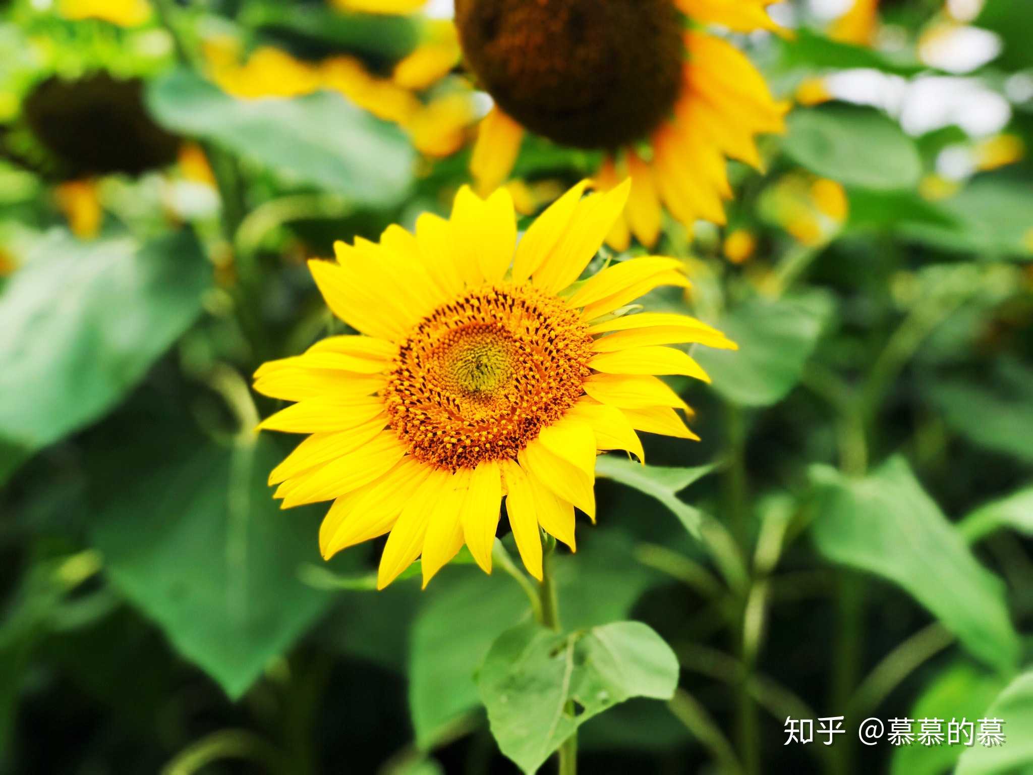 2018年度照片