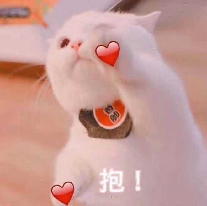 有那些撩男朋友的斗图?