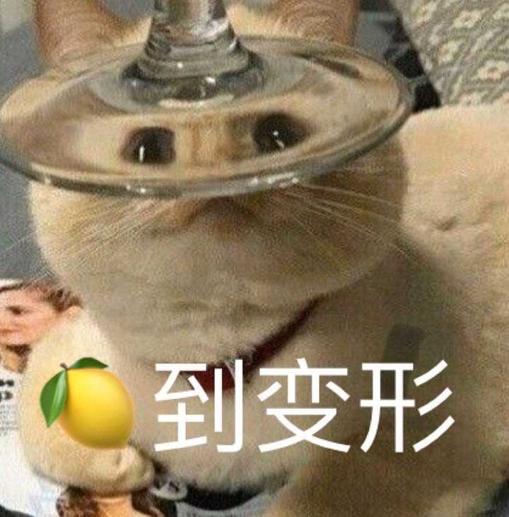 大家,有没有猫的沙雕表情包?