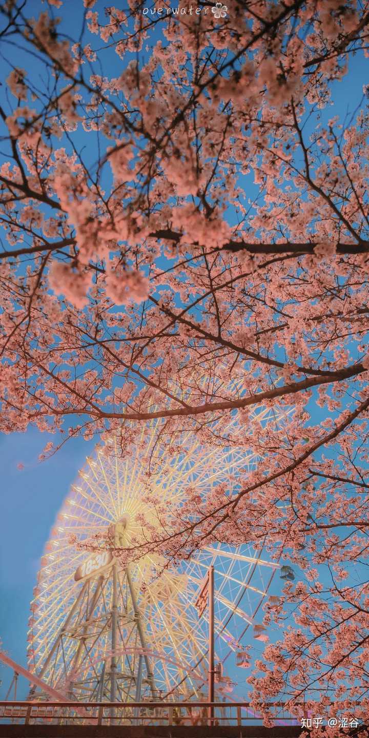 有哪些以日本的街道或者风景为背景的手机壁纸?