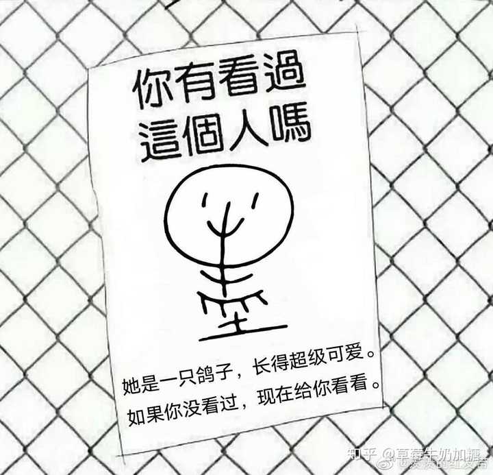 《死神没有休息日》开始写了吗?