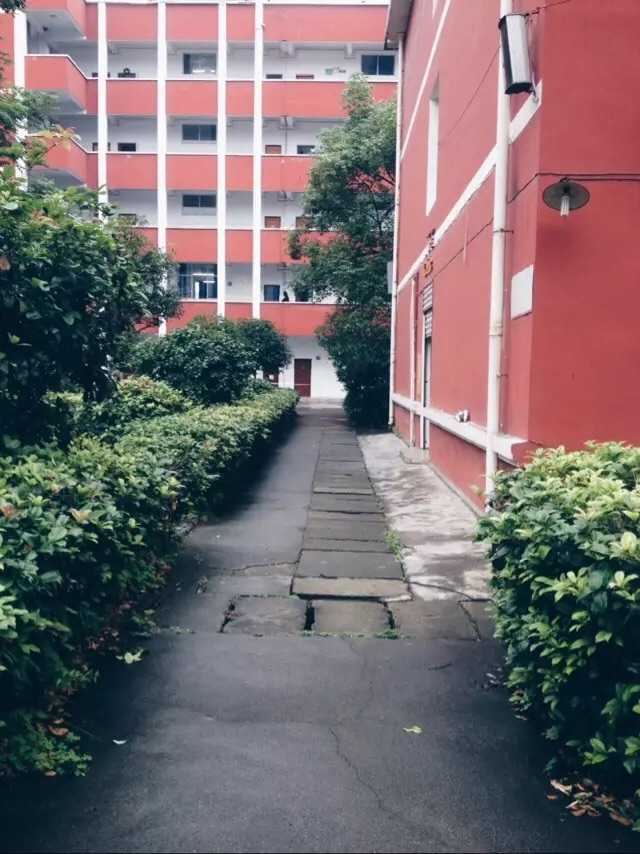 在清江外国语学校就读是怎样的体验?
