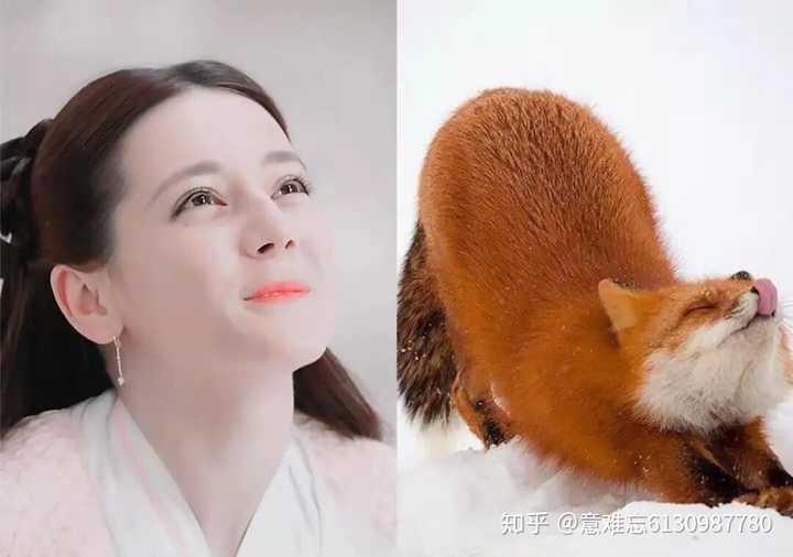 迪丽热巴 表情真的太可爱了