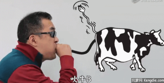 公司离职率高是什么体验?