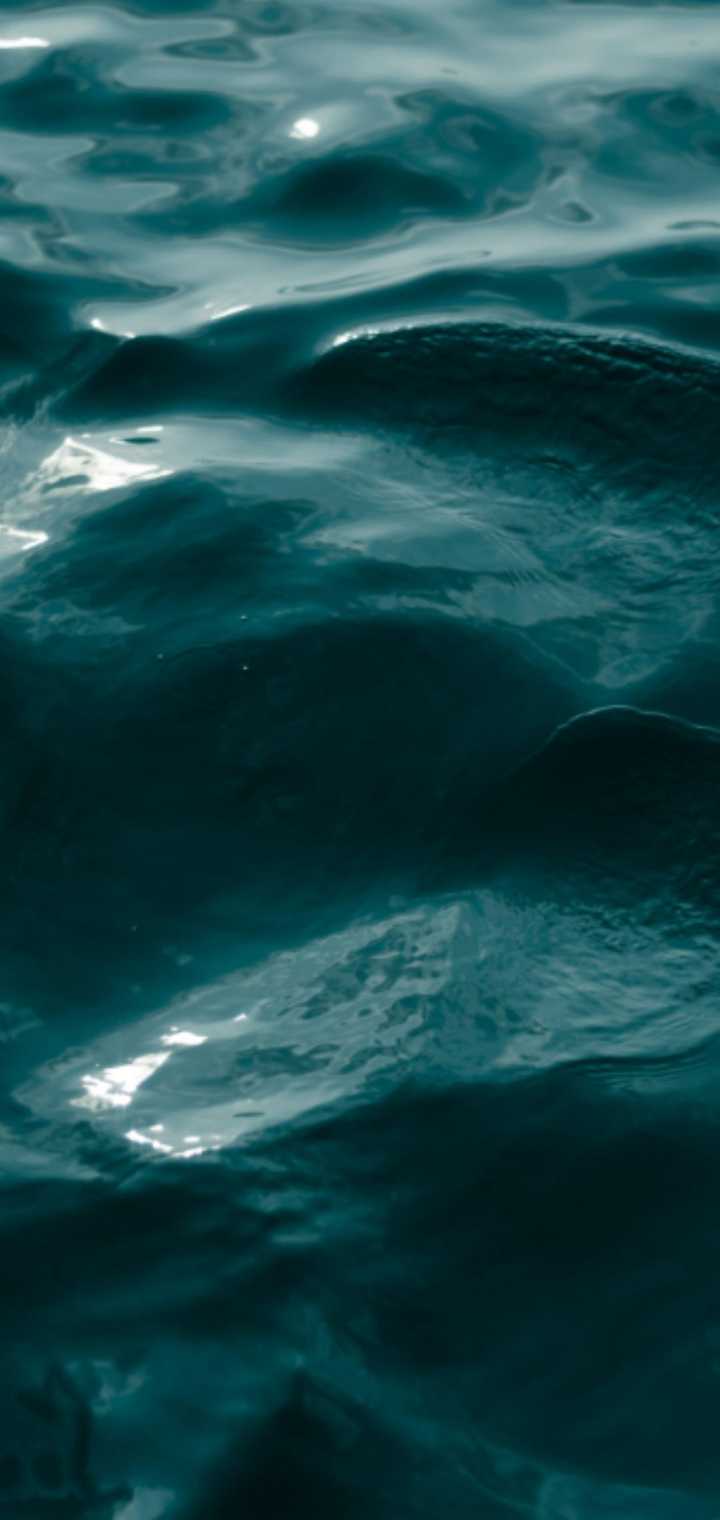 有哪些适合 iphonexs max 的壁纸?