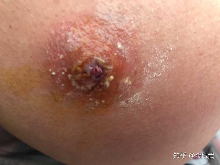 知乎