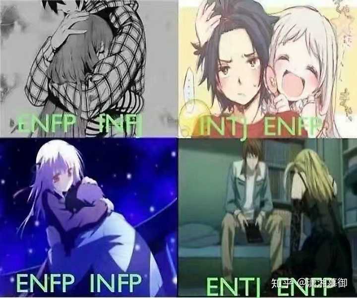 www.zhihu.com infp intp entp intj entj