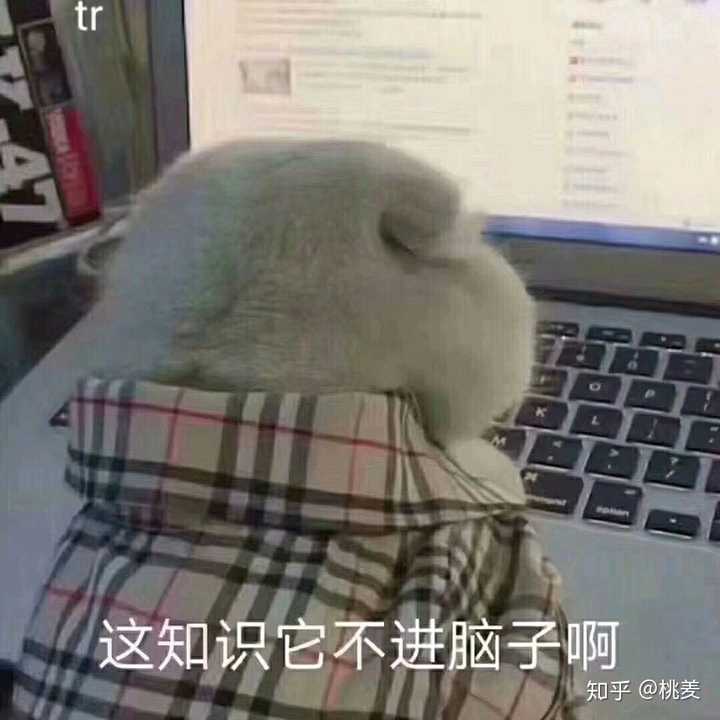 知识不进脑子怎么办?