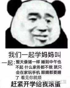 大家有没有什么看一眼就忘不了的搞笑图片,视频或者笑话?