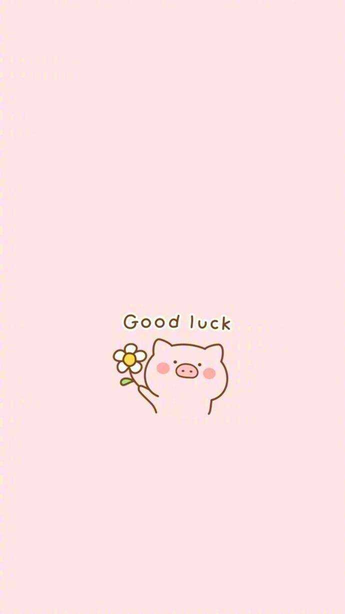 明天后天都要加油呀!good luck