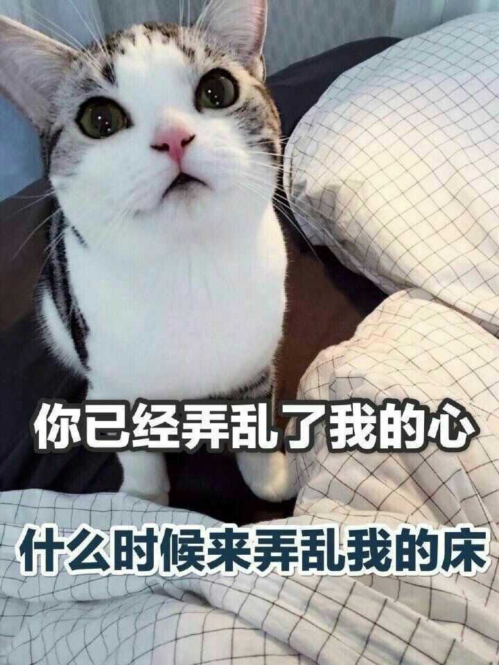 有哪些可以哄女朋友的表情包?