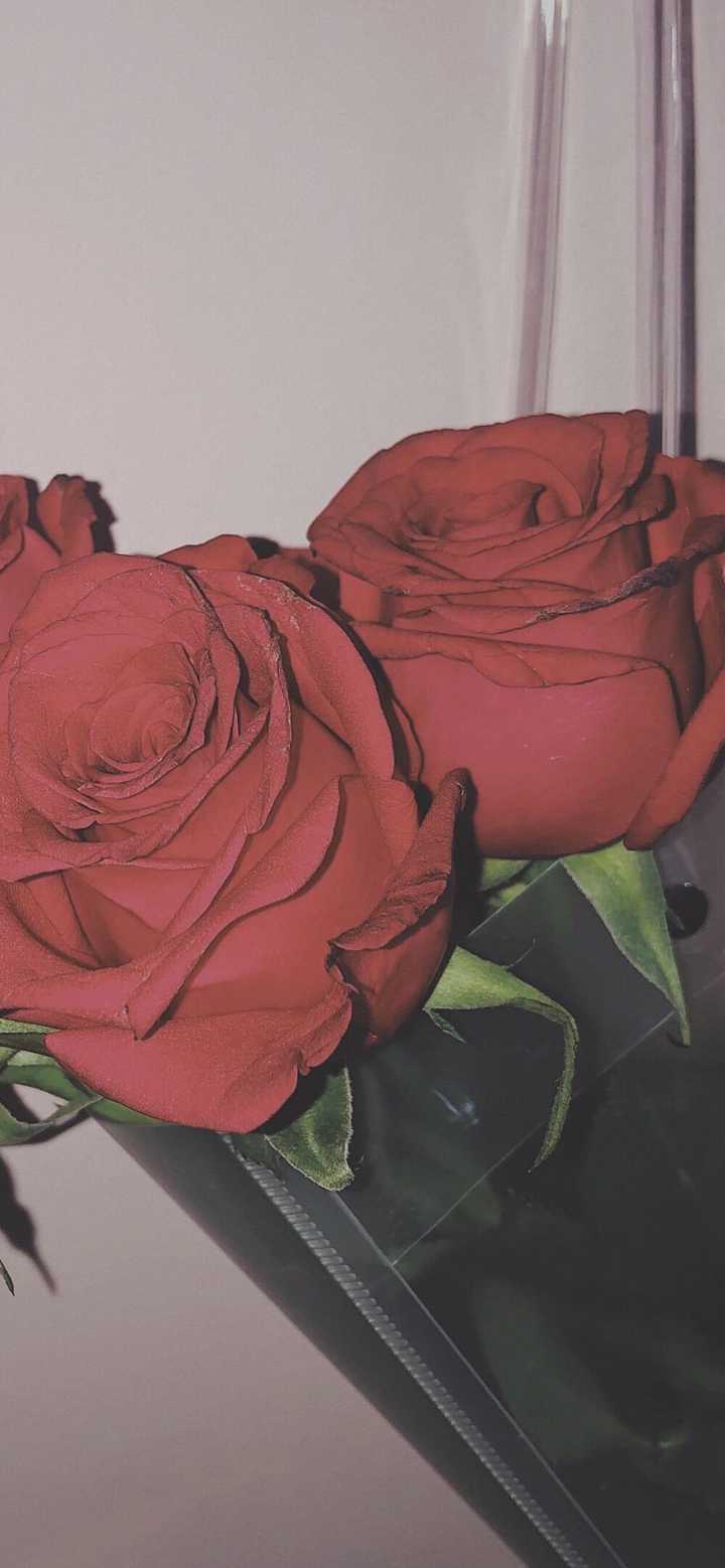 各位大佬,可不可以发一些复古风壁纸,还有那种影子的
