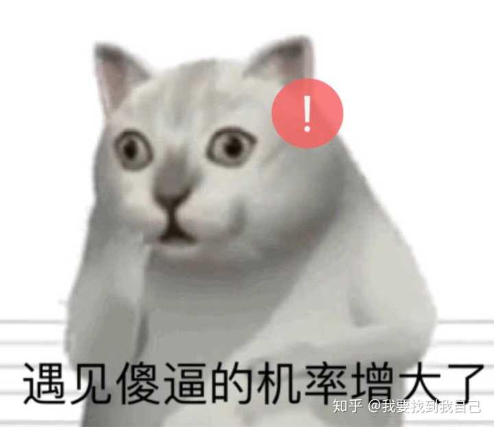 大佬们你们有这只猫的表情包吗?