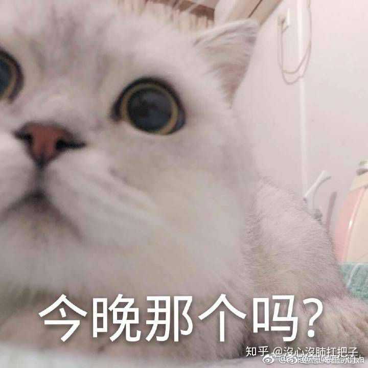 你们有哪些骚气的表情包?