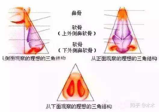 拜托,别做梦了,鼻梁的高度是根据鼻骨决定的,肌肉是不能抬高鼻梁的!