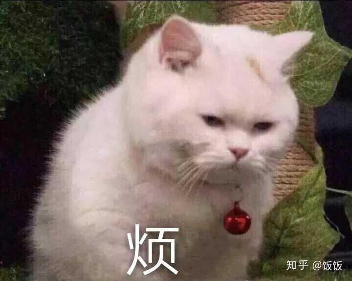 你在肯德基遇到过什么样的糟心事?