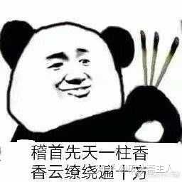 有哪些关于道士的表情包,道士们平常都发哪些表情包?