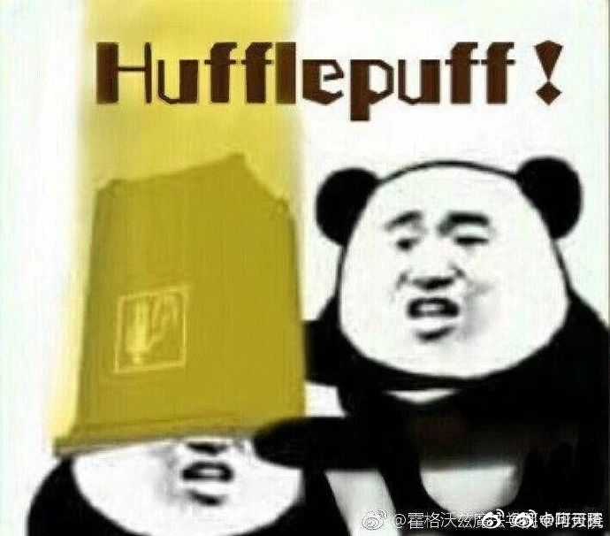 我还去pottermore做了分院测试,果然是獾院!