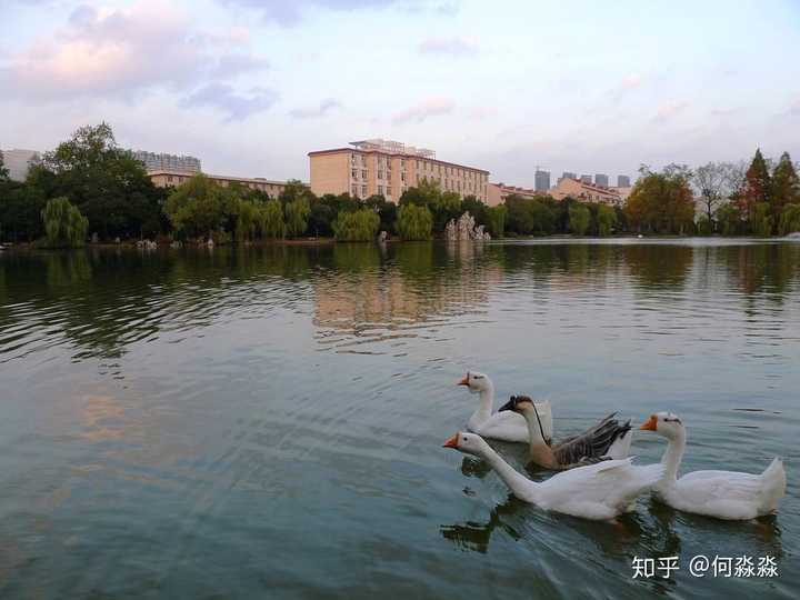 三国古迹斛兵塘,别名站塘,又称量兵塘,位于合肥工业大学屯溪路校区