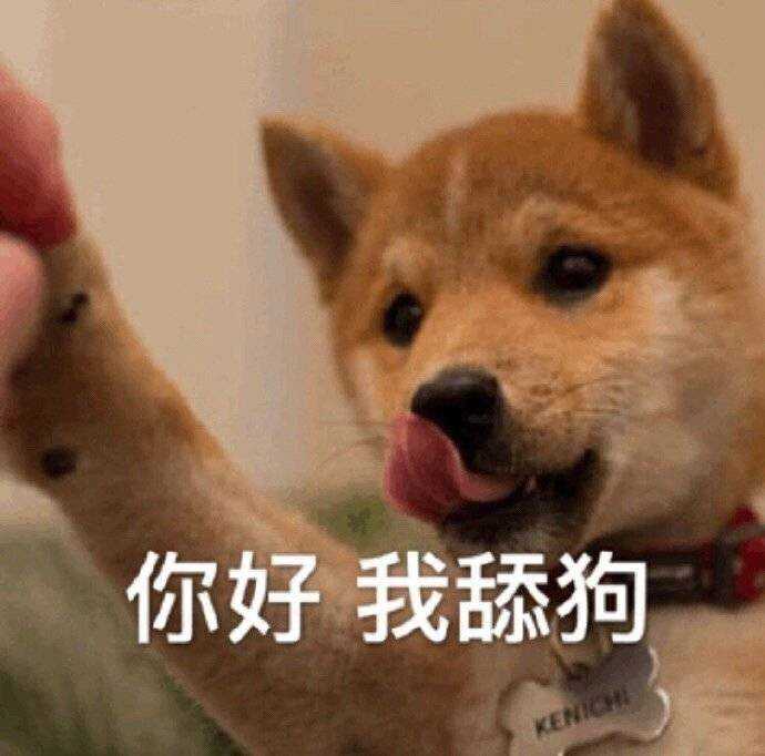 请记录一下你的沙雕日记?(类似于最近的舔狗日记)?