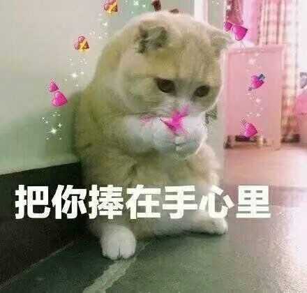 撩男朋友的表情包有哪些呀?