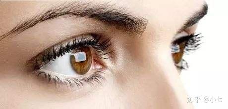了解了双眼皮的形成过程,我们来看看欧美人的双眼皮.