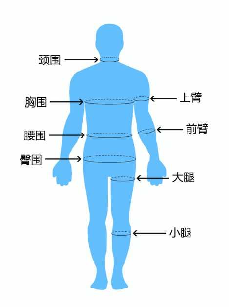 围度测量示意图如下.