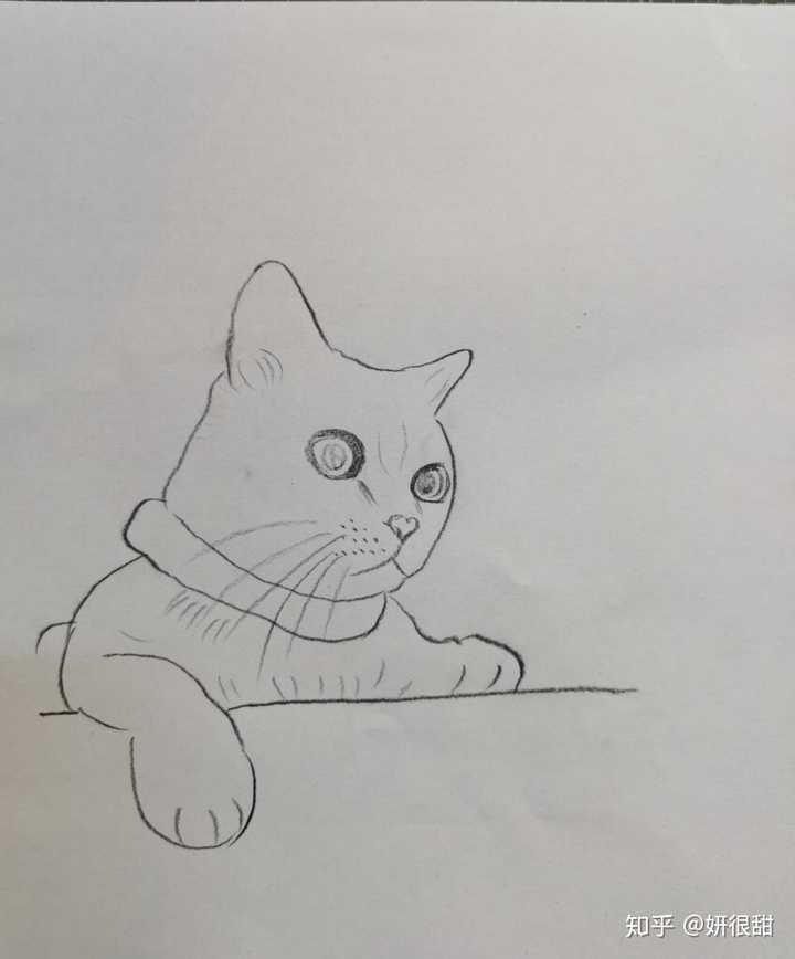 可以给我画一只猫咪吗?